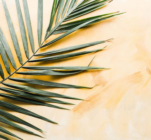 brooke-lark-7rIsBSxhiXM-unsplash-crp brooke-lark-7rIsBSxhiXM-unsplash-crp